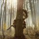 Screenplay: “Where The Wild Things Are”