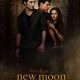 Screenplay: The Twilight Saga: New Moon