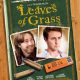 Edward Norton, Tim Blake Nelson on their film, “Leaves Of Grass”