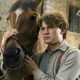 Trailer: Steven Spielberg’s “War Horse”