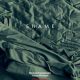 Screenplay: ‘Shame’