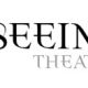 Donate to The Seeing Place Theater – Make Theater Affordable!