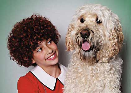 Dog Who played ‘Sandy’ Cut from Australian Production of ‘Annie’ Because of Stage Fright?