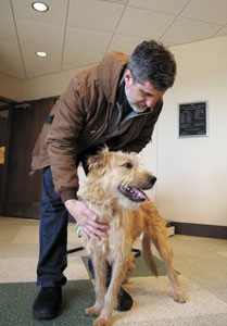 Tennessee Dog Scheduled to be Euthanized Saved By Broadway Audition for ‘Annie’