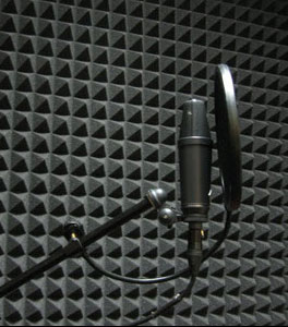 Professional Voice Over Actors Facing Increased Competition from A-List Stars and Amateurs