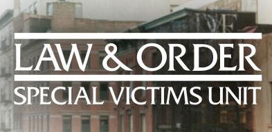 Brooklyn Judge Delays Trial to Allow Juror to Audition for ‘Law & Order: SVU’