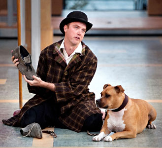 The Biggest Star of the Lake Tahoe Shakespeare Festival is a Pitbull Named Michael