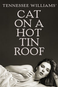 cat-hot-tin-roof-scarlett-johansson