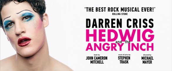 Darren Criss in Hedwig