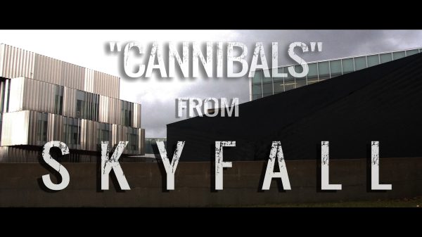 Actor Aaron Williams Creates Another Theatrical Cover From the Film, ‘Skyfall’
